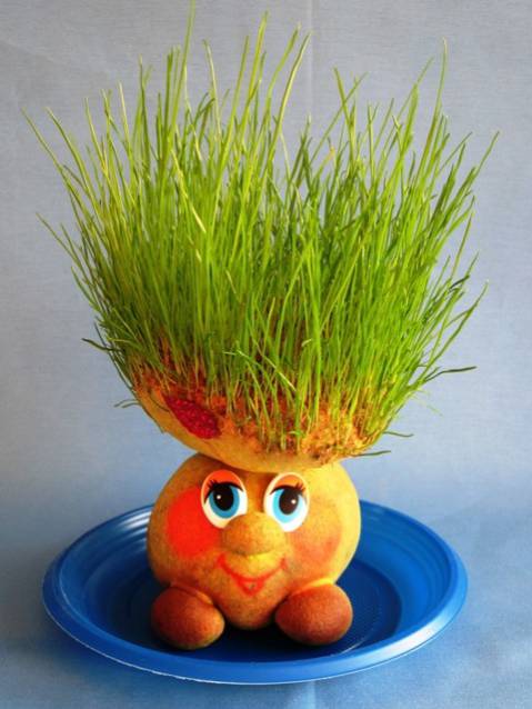 ����������� - ����� � ���� ����� ���������� ;) � ����������� 14.08 - ����!