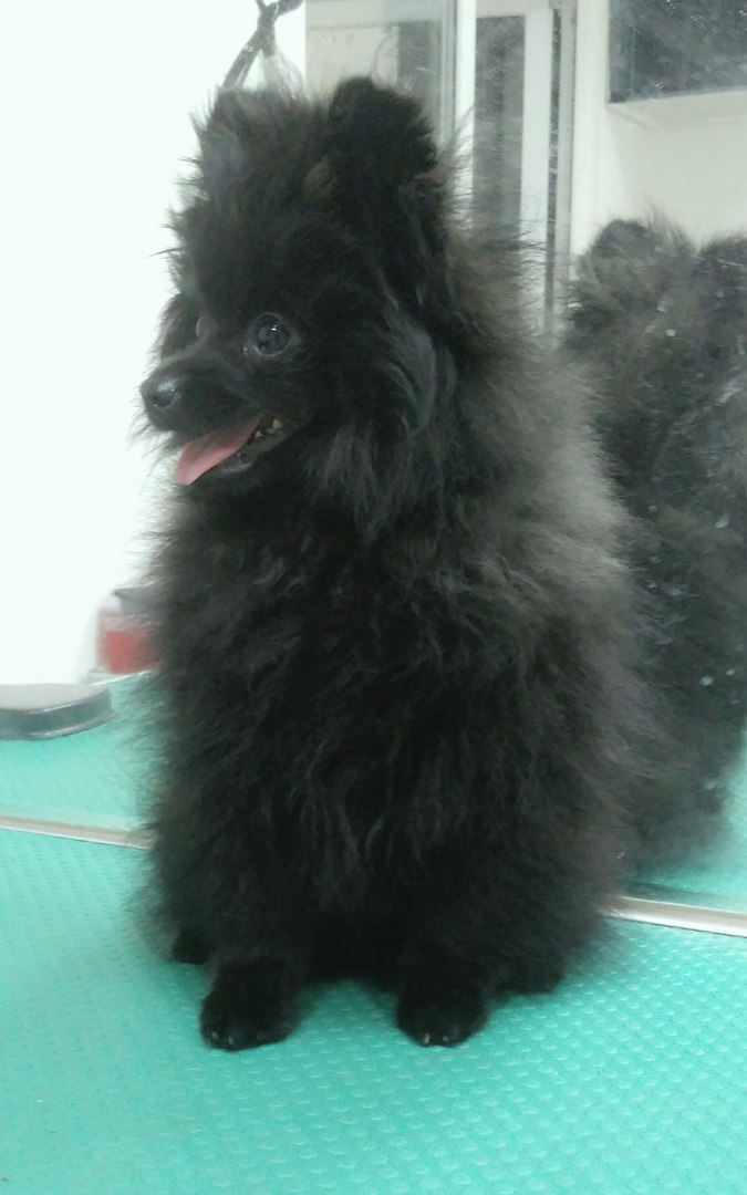 �����, 4 ������! ������ �������) 