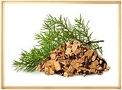 �� �����, �������, ����������, ��������� �����... �� ������� � �������� ���������...  