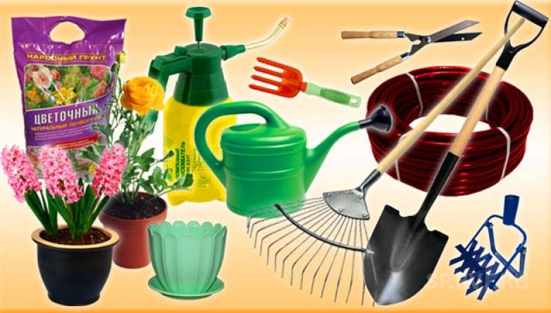 ���� ������� �� 20.08. ������ ��� ���� 21.