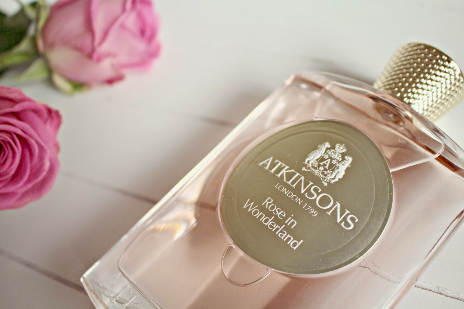 ������������ ������ ! �������� ����� ��������� � ����� �� ������ �����!!! ������� �������, ���������� �������!