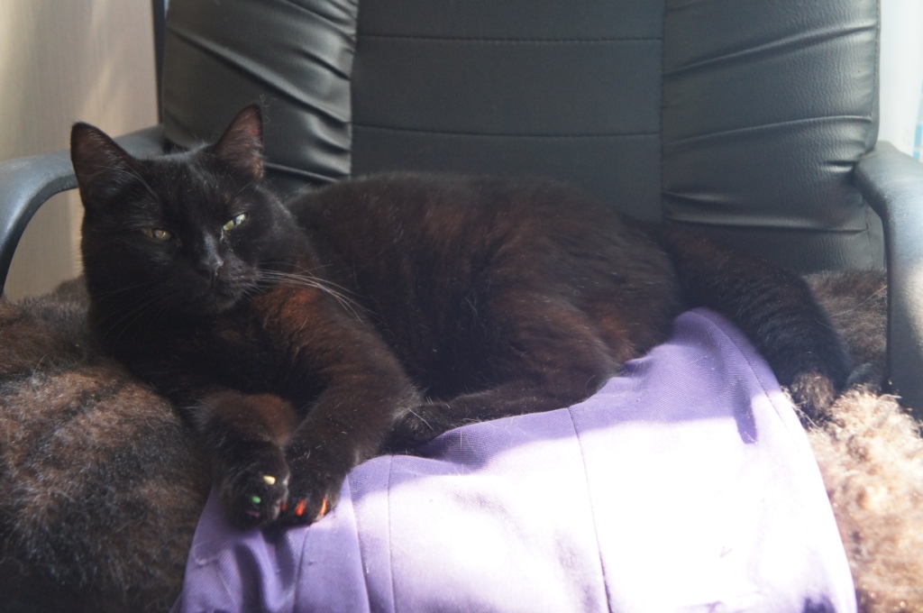 ����� �������