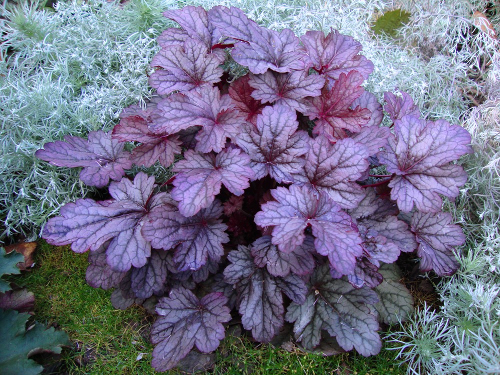 ���� ������� �� 30.08. ��������, ����������, ������������ �� �� ������������� �������. ����� 8