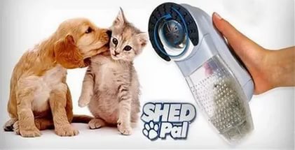 ���� �������! ������ ��� ������� ����� �������! ������ ������� � �������, ��������! 