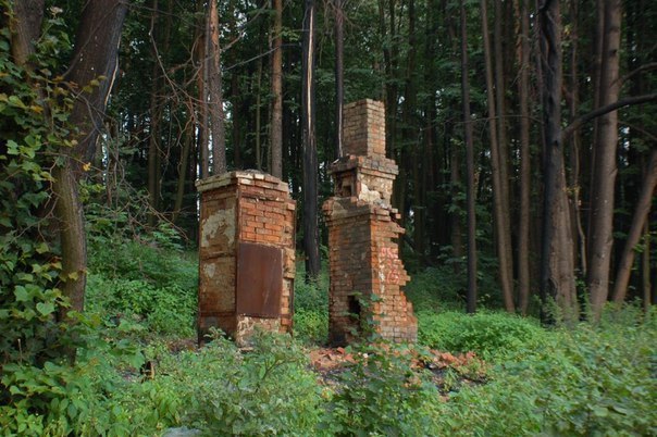 ������� ������� 