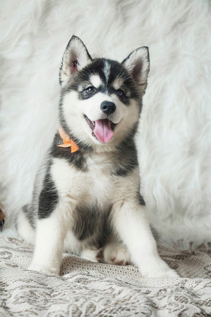 ���������� �����