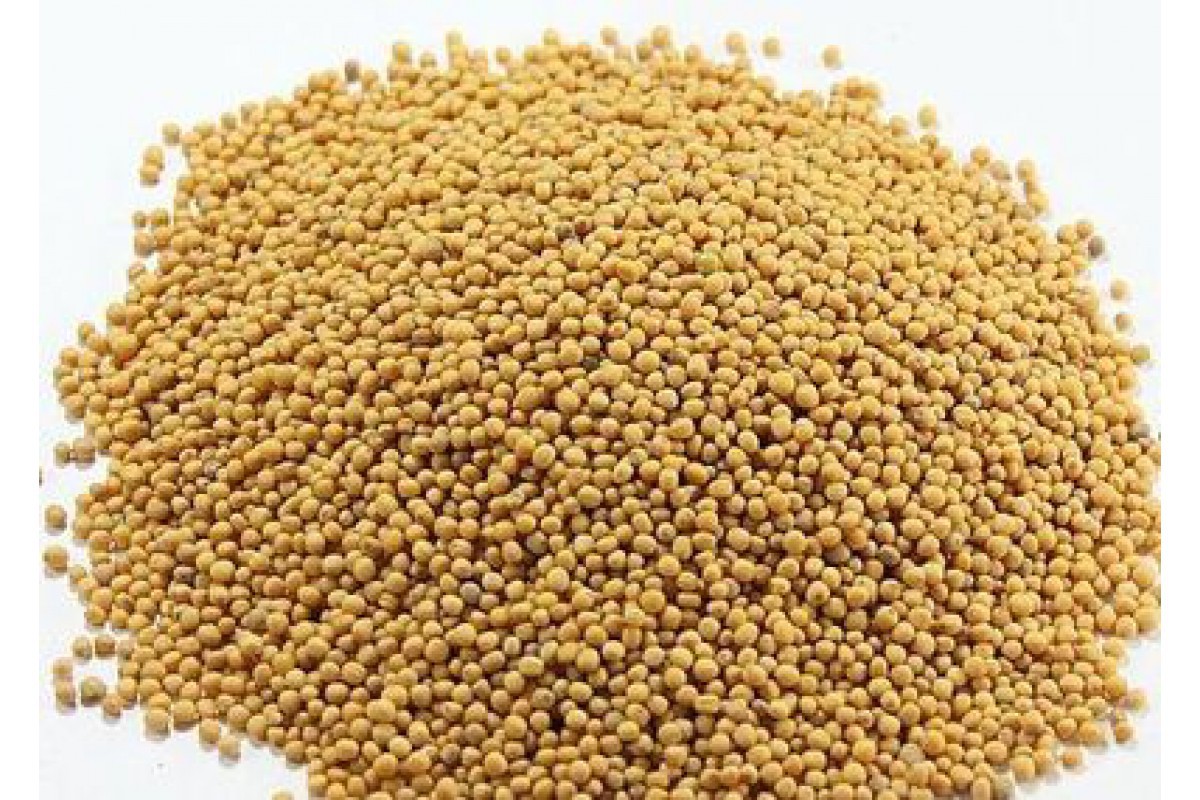 ��������! �� ����� ��������� ������� (����� ������ ������ ����� ����� ����� ��������!). ����� ������ ��������: