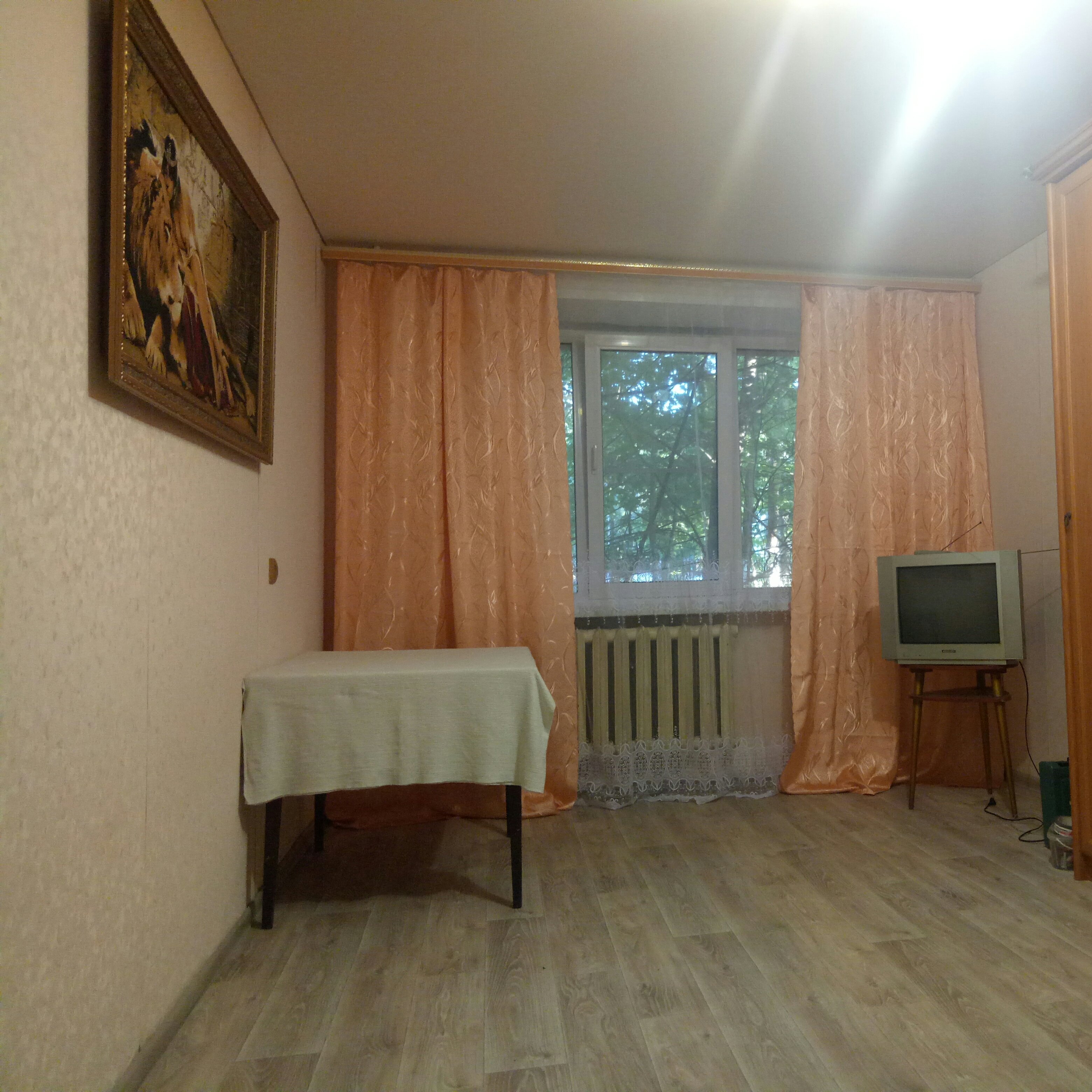 ���� �������