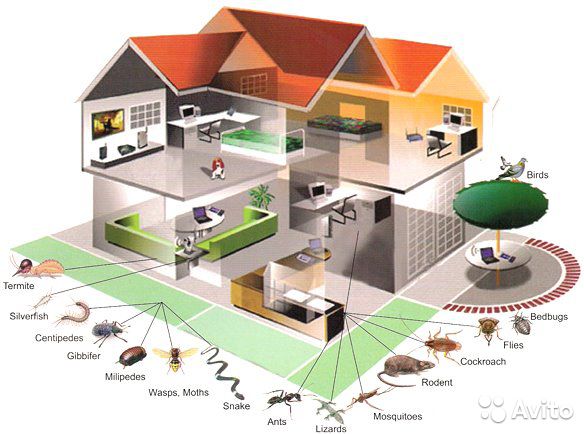 ���� �������.�������� 2 ���! ����������! �������������� ������������ �������, �������� � �� ������! ���� 35