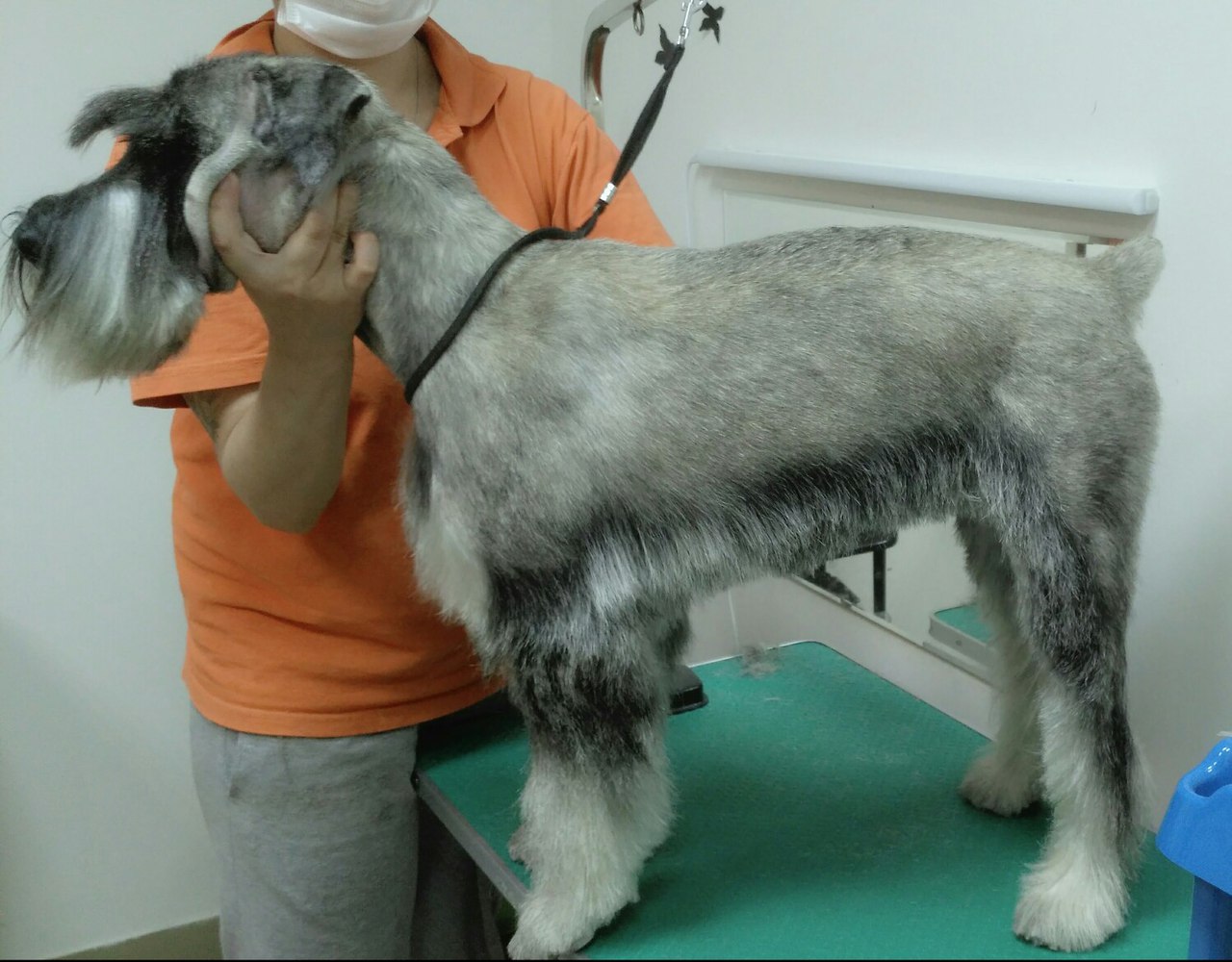 �������� �� ���� � �� ��������� ���� ����� �� ������? ����, �� �����! #�������������� #�������������