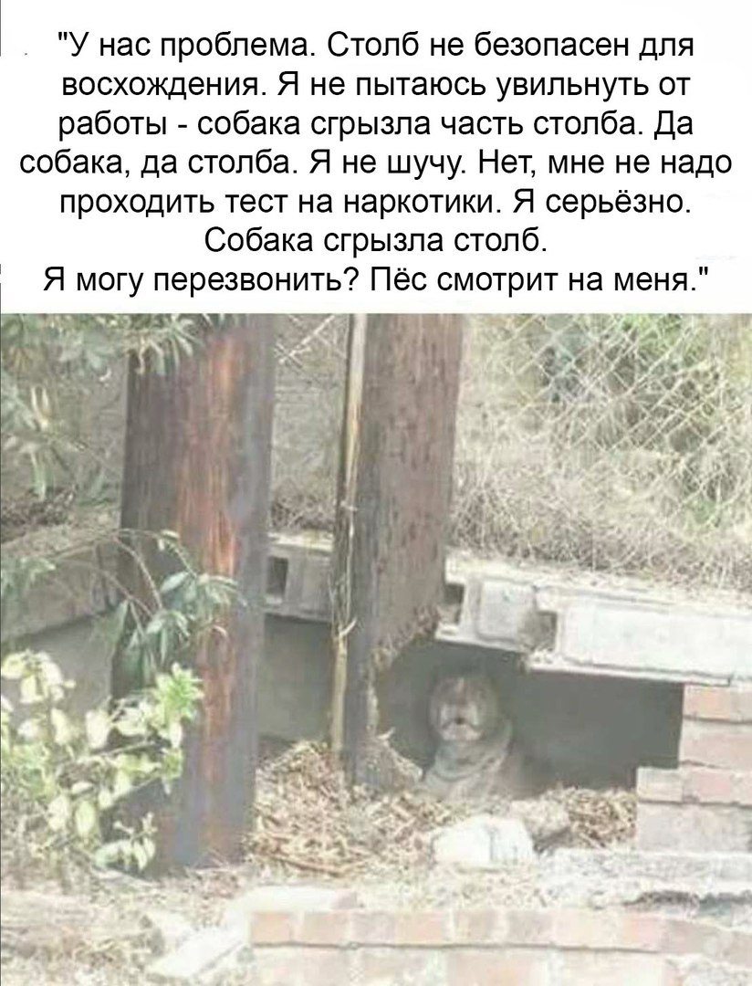 ������� ����