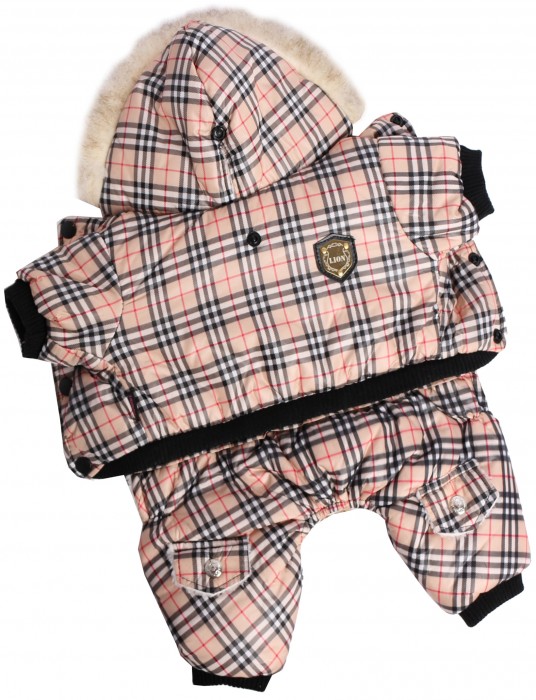 [b]���� �� 7 ��������. 