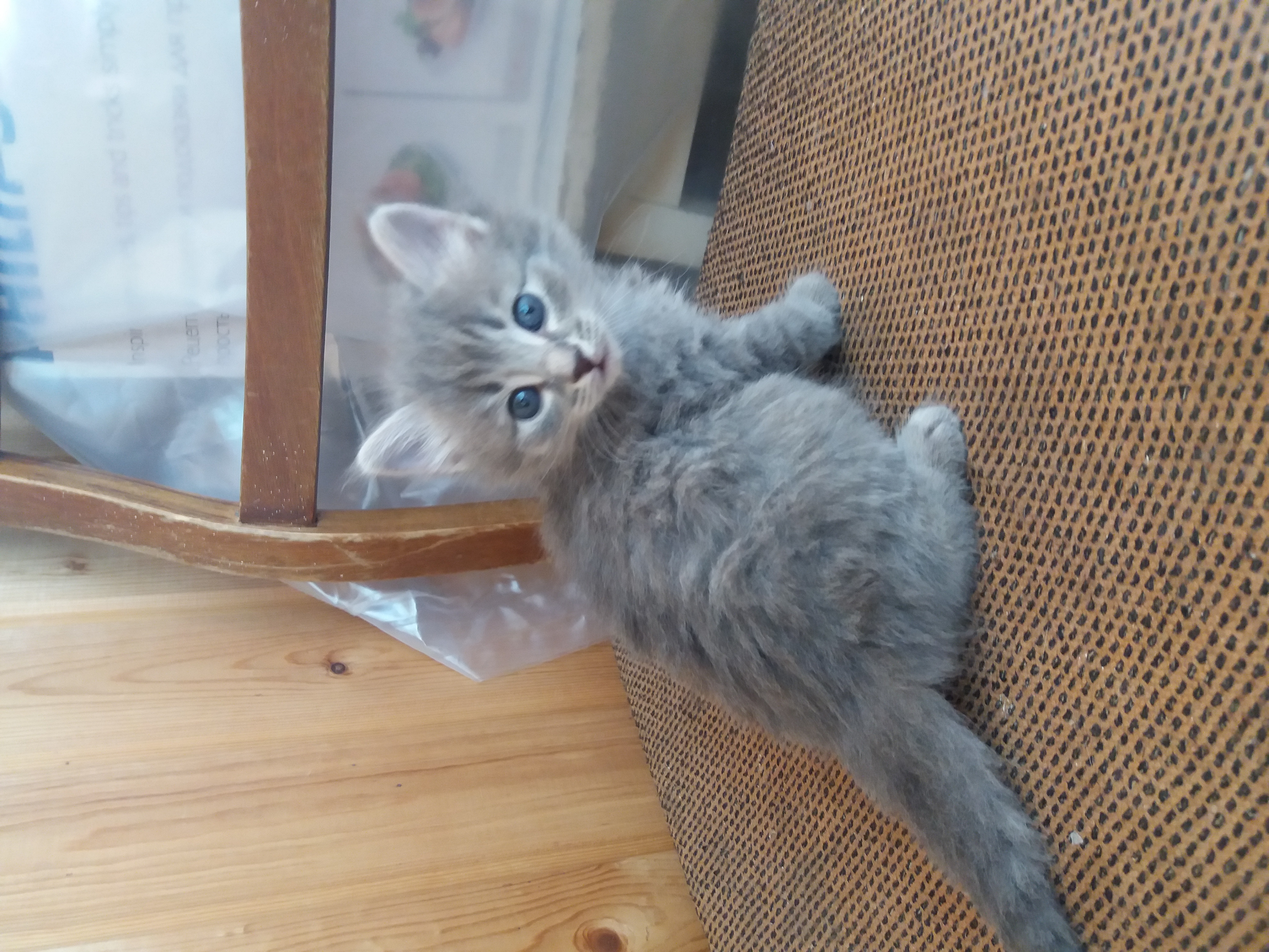 ������ � ������ ����