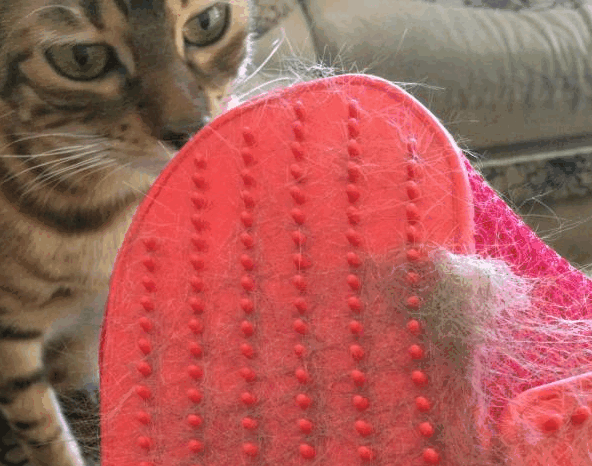 ����� ����� �� ��������... ����! ��� ���� � ��������, � � ���� ��� ������ � ���� ����� ������.