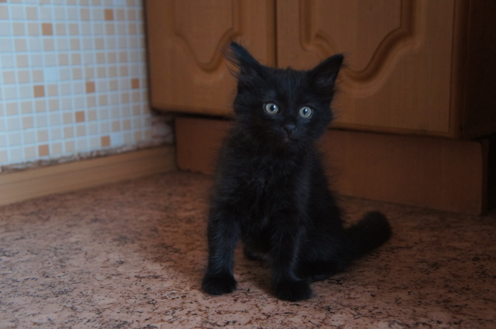 ��� ����� ������ ���������� - ����� (2 ������)