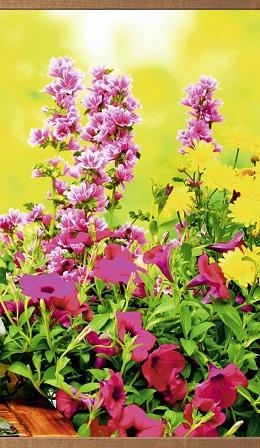 ����� ������� ������ �� ������������� � �������� ��� ������! ����� �� � ��������������� �����. ����� ������ ��������. ��������� ����������� �������.