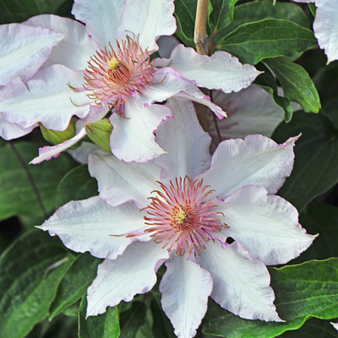 ���� ������� �� 07.09. ---�-�-�-�-�-�-�-�-�-�- �������� � ����������� �� ���������:- ���������, ����, ���������, ������������, ��������