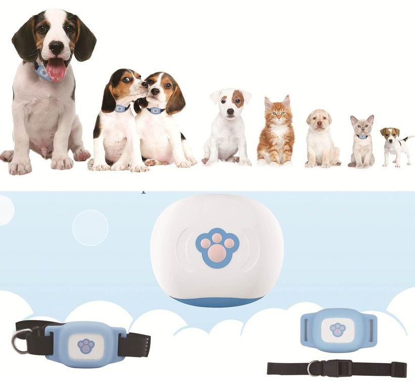 ���� �������! ������ ��� ������� ����� �������! ������ ������� � �������, ��������! �������� Gps-������ ��� ��������!