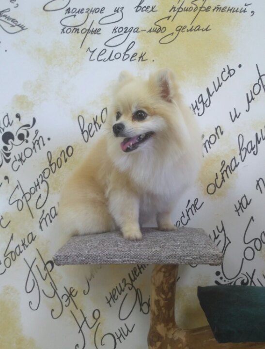 � ����� ���ޣ���� � ����� �����.