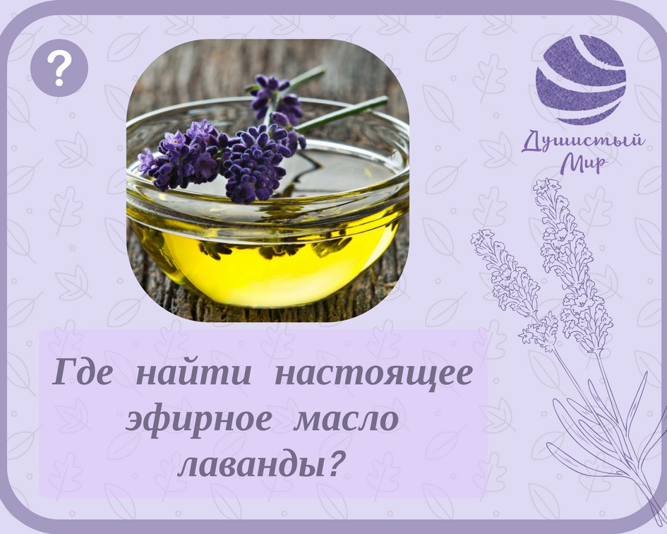 �������, �� ���, ��� ������ �������!