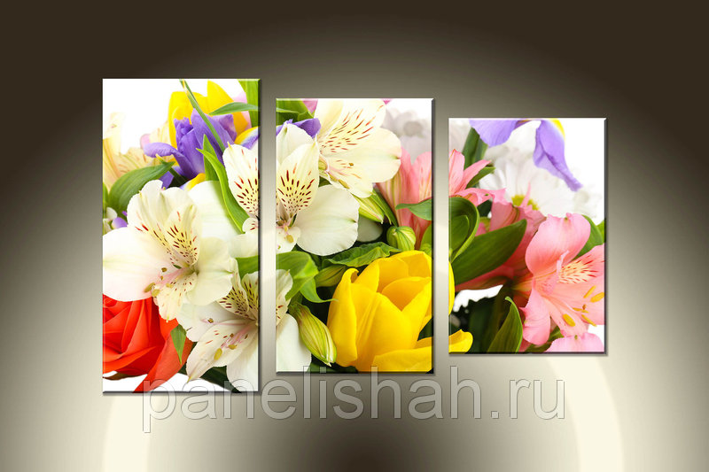 [b] ���� �� 7 �������. ��������� ������� �� ��������� ����������: �����, ������� [b]