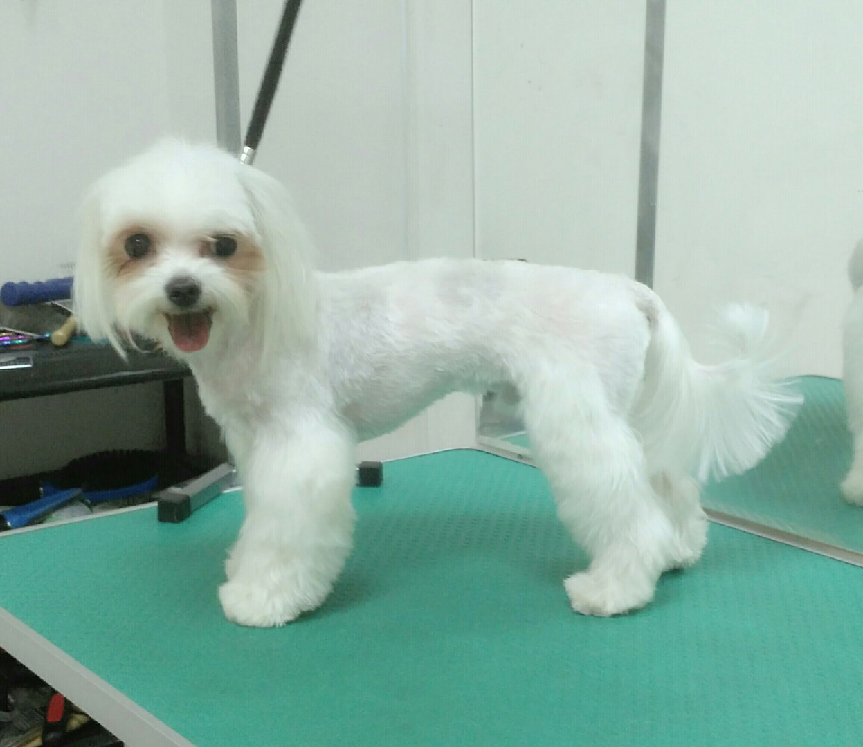 ����������� �������. ��������� �����.