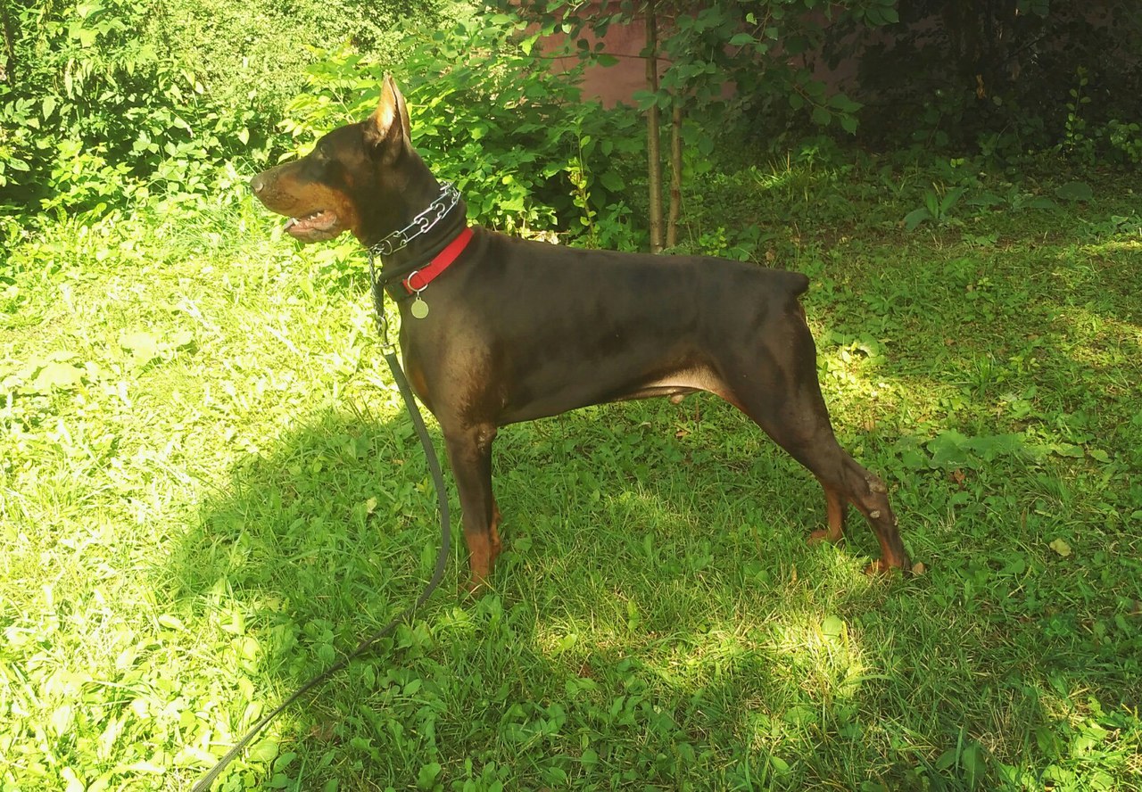 ����� ��������!!!