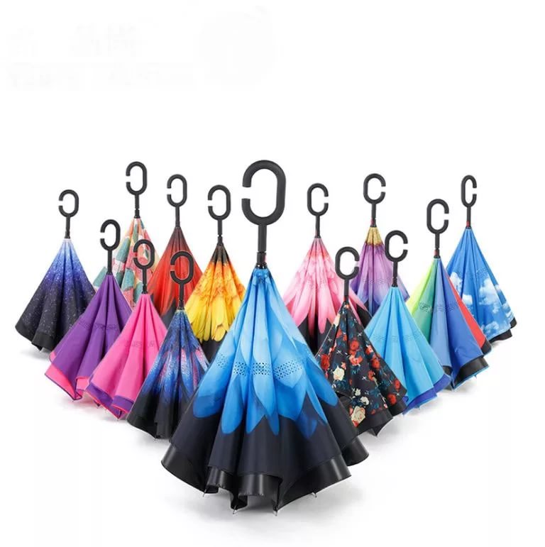 ���� �������. ����-����������! ������ ������� ������ ����� � ���������� ������! ������ ���� �� 450 ���.