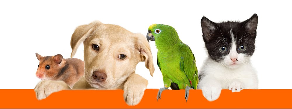  ���� ������� �� 15.09. ����������! ���������. TiT*Bi*T, T*ri*ol, Jr F*a*r*m. ���� 18.