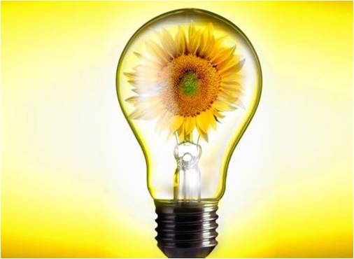  [b]���� �� 12 ��������. ��� � �������. ������� � ������� ������ �����, ���������, ������� � ������� �������� �� ������������ ����� � ������ ������. [/b]