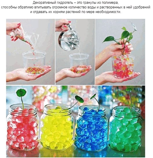 �������! ������������ ������!