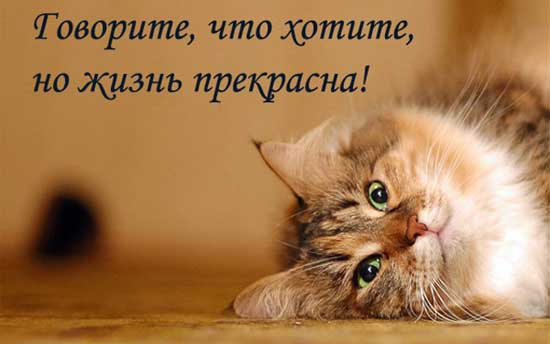 ���... �� ���� �� ����..))))