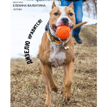 �������-������� ��� �����.������ �������.������������ ������.���� ������� ����������,����� ��� �����.������ ���� �� ������� � ��������������� ���������