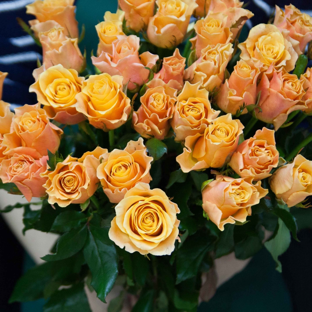 ���� �������.������ ����� ������ ��� ! ������� �� ����� ������ �������������� ����. ���� ��� ������� ������. ����� 9. ������� �� ��� ������� - 4 �������