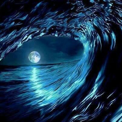 �������������.