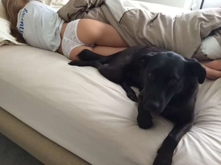 � ���� ���� ������� ����� ������