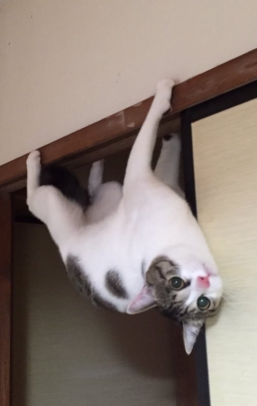 ��������� ����� ������� ����� ����-������, ������ ������!