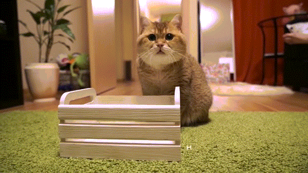 ����� ��� ������� ���� � �� �������� � ��������