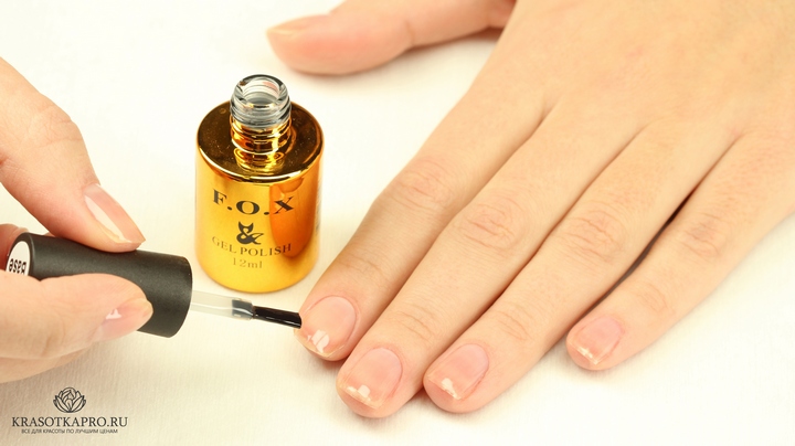 ������� ����� ���� �� FOX- ���������� ��������!! 24.09