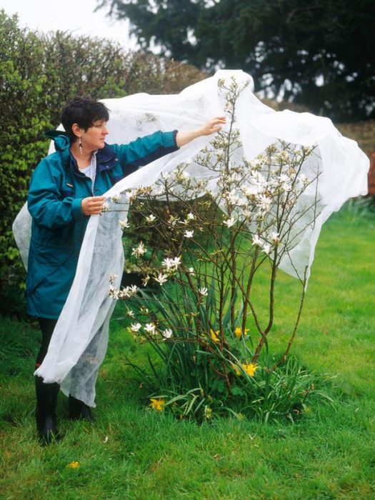 ��� ��������! �ӣ ��� ������� � �������� ��������! ���������, ���������, �������� �������� ��� �������� (��������� � ���� �������)! 