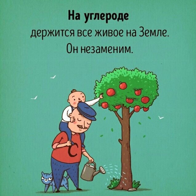 ��� �� ��������� ���������� ��������, ���� �� ���� ������: