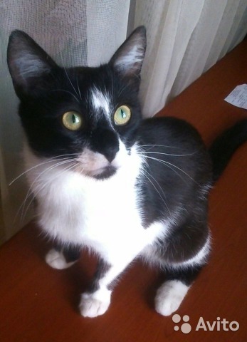 ��������! ���������������� ��� ������ � ������!!!