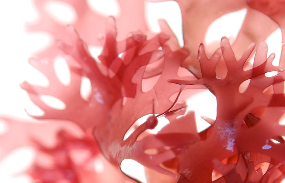 ���� �� 09.10. ��������� ����������� ����������� �����. ���������� ������� ������! �������