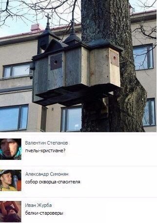 ������� ����