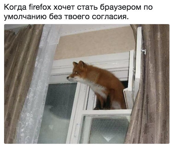 ������� ����