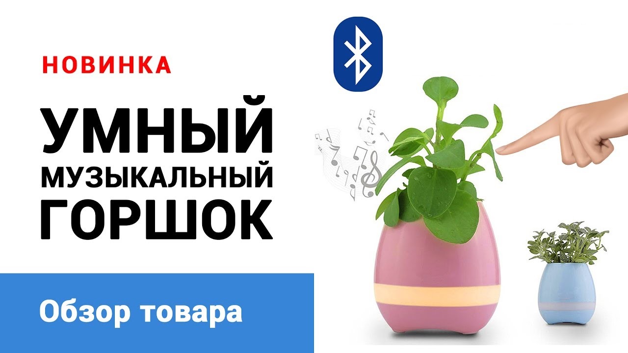 ����� ����������� ��������� ������-������� Smart Music Flower.