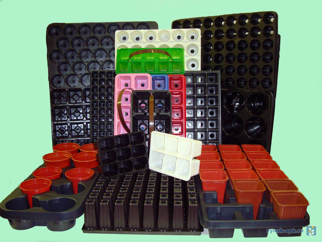 ���� ������� �� 8.10. ��� ��� ����� ��������. ��������� ������, �������, �������, ������������, �������������, �����-��������, ����������� �������.