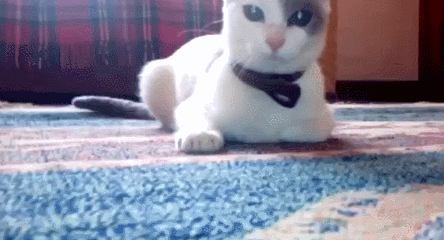 ��������� ������ �����