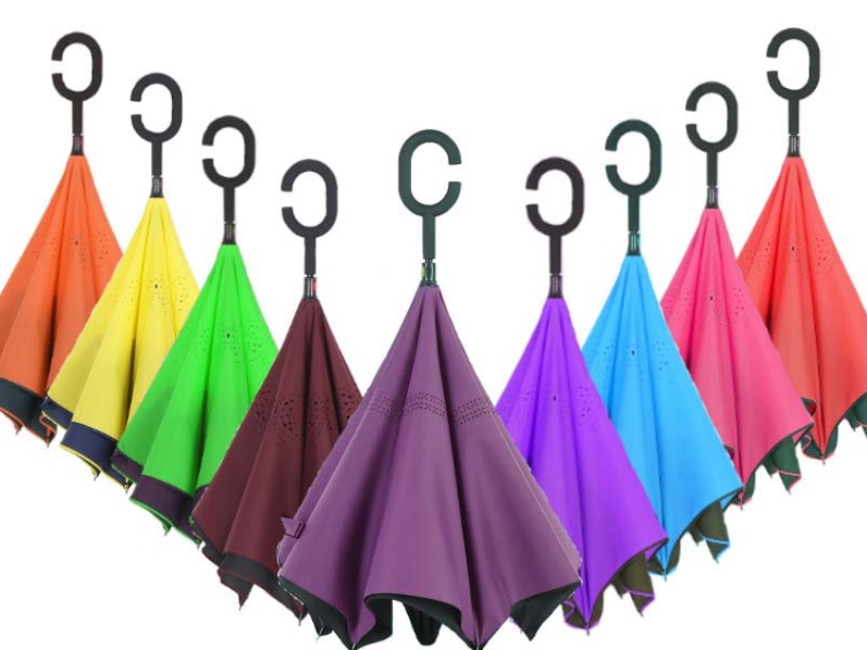 ����-�������� (��������) - ����, ������� ������������ ������ �������� ������! ����� �̣���� ���� - 480 ���.!