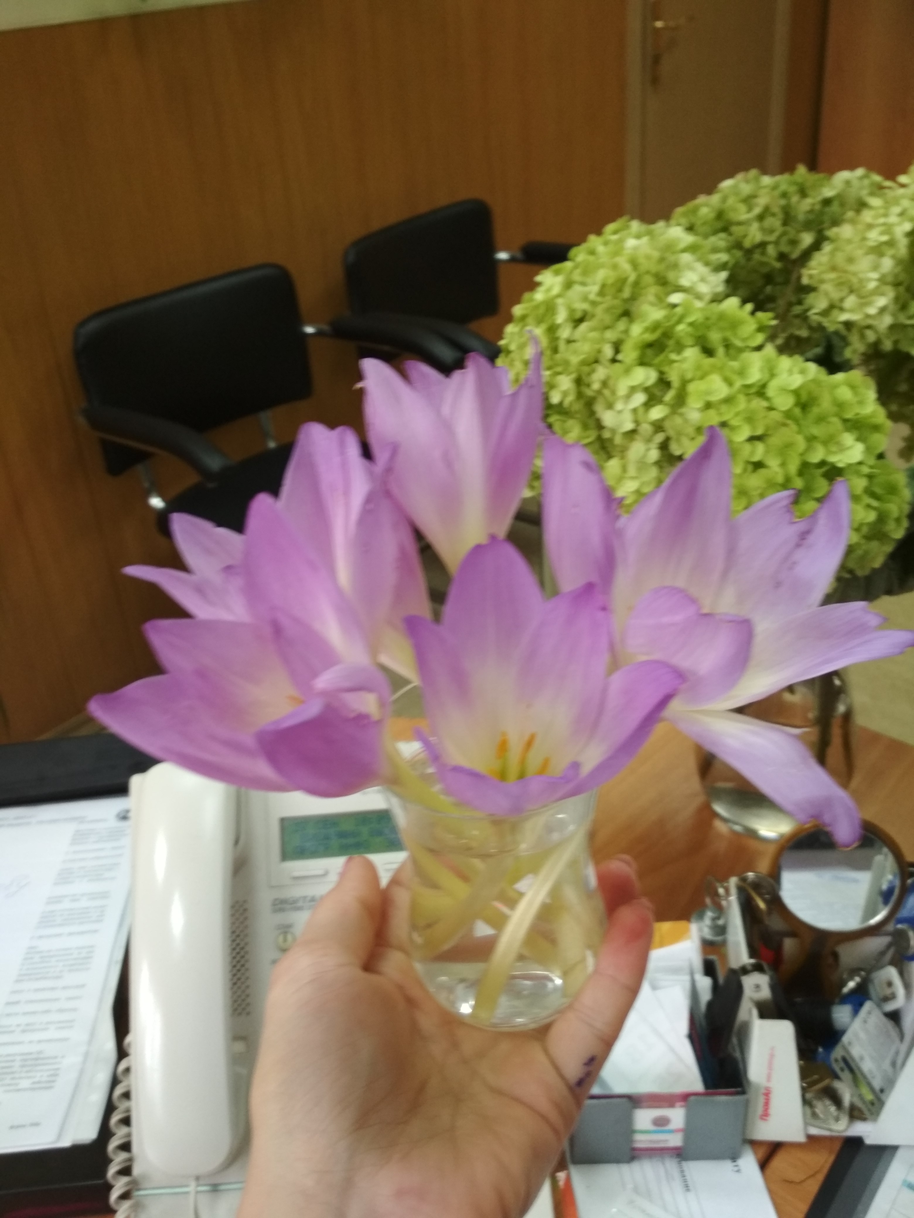 ����� � ���� ������� ��� ����